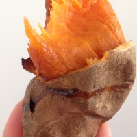 Where to find sweet potatoes
